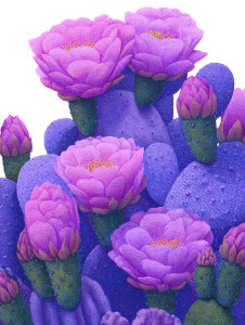Flowering Cactus Illustration V2 Vinyl Car Decal Sticker – Waterproof & UV-Resistant 4.1066666666666665" Flowering Cactus Illustration V2 Vinyl Car Decal Sticker – Waterproof & UV-Resistant 4.1066666666666665"