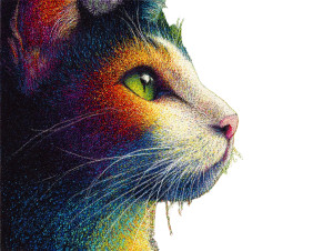 Rainbow Cat V5 Vinyl Car Decal Sticker – Waterproof & UV-Resistant 6.1866666666666665" Rainbow Cat V5 Vinyl Car Decal Sticker – Waterproof & UV-Resistant 6.1866666666666665"