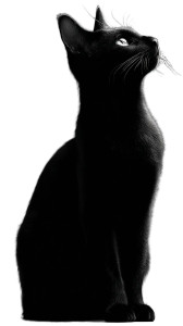 Elegant Black Cat V10 Vinyl Car Decal Sticker – Waterproof & UV-Resistant 9.706666666666667"
