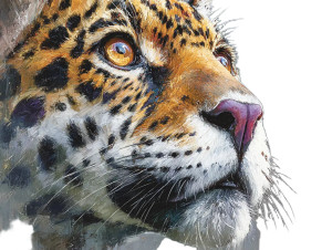 Animal Portrait Art V2 Vinyl Car Decal Sticker – Waterproof & UV-Resistant 6.1866666666666665"