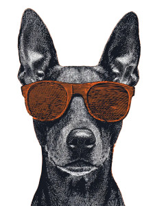 Cool Dog Head Vinyl Car Decal Sticker – Waterproof & UV-Resistant 8.213333333333333" Cool Dog Head Vinyl Car Decal Sticker – Waterproof & UV-Resistant 8.213333333333333"