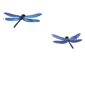 Dragonflies And Ladybugs Vinyl Car Decal Sticker – Waterproof & UV-Resistant 6.826666666666667" Dragonflies And Ladybugs Vinyl Car Decal Sticker – Waterproof & UV-Resistant 6.826666666666667"