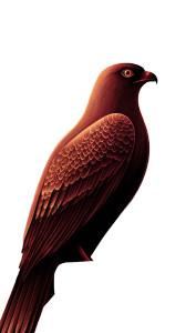 Vintage Phoenix Engraving Vinyl Car Decal Sticker – Waterproof & UV-Resistant 4.8533333333333335"