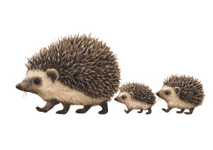 Baby Hedgehogs Family Vinyl Car Decal Sticker – Waterproof & UV-Resistant 3.0933333333333333" Baby Hedgehogs Family Vinyl Car Decal Sticker – Waterproof & UV-Resistant 3.0933333333333333"