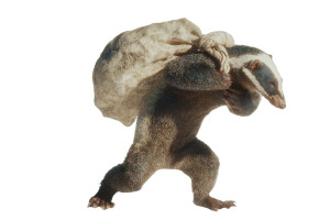 Determined Honey Badger Vinyl Car Decal Sticker – Waterproof & UV-Resistant 5.97333333333333