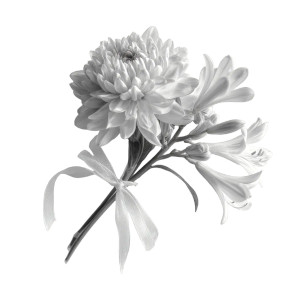 Minimalist Flower Bouquet Vinyl Car Decal Sticker – Waterproof & UV-Resistant 3.4133333333333336" Minimalist Flower Bouquet Vinyl Car Decal Sticker – Waterproof & UV-Resistant 3.4133333333333336"