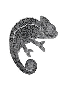 Veiled Chameleon Art Vinyl Car Decal Sticker – Waterproof & UV-Resistant 8.213333333333333"