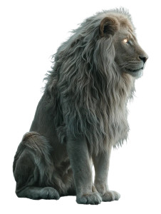 Majestic Lion V16 Vinyl Car Decal Sticker – Waterproof & UV-Resistant 4.1066666666666665" Majestic Lion V16 Vinyl Car Decal Sticker – Waterproof & UV-Resistant 4.1066666666666665"