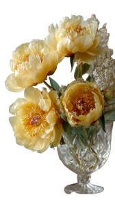 Yellow Peonies Bouquet Vinyl Car Decal Sticker – Waterproof & UV-Resistant 4.8533333333333335" Yellow Peonies Bouquet Vinyl Car Decal Sticker – Waterproof & UV-Resistant 4.8533333333333335"