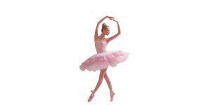 Ballet Flamingo Vinyl Car Decal Sticker – Waterproof & UV-Resistant 5.12"
