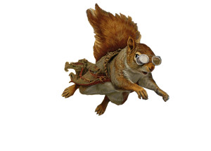 Pirate Squirrel V7 Vinyl Car Decal Sticker – Waterproof & UV-Resistant 3.0933333333333333" Pirate Squirrel V7 Vinyl Car Decal Sticker – Waterproof & UV-Resistant 3.0933333333333333"