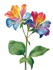 Vibrant Rainbow Flowers Vinyl Car Decal Sticker – Waterproof & UV-Resistant 4.1066666666666665" Vibrant Rainbow Flowers Vinyl Car Decal Sticker – Waterproof & UV-Resistant 4.1066666666666665"