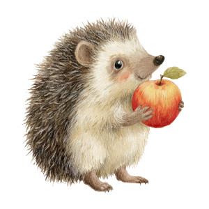 Autumn Hedgehog Apple Vinyl Car Decal Sticker – Waterproof & UV-Resistant 6.826666666666667"