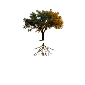 Ancient Radiant Tree Vinyl Car Decal Sticker – Waterproof & UV-Resistant 6.826666666666667"