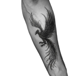 Fenix Tattoo Design Vinyl Car Decal Sticker – Waterproof & UV-Resistant 3.4133333333333336" Fenix Tattoo Design Vinyl Car Decal Sticker – Waterproof & UV-Resistant 3.4133333333333336"