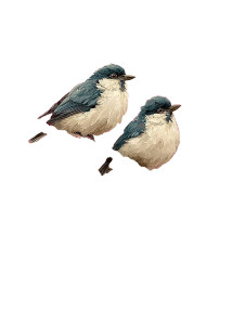 Cherry Blossoms Birds Vinyl Car Decal Sticker – Waterproof & UV-Resistant 4.1066666666666665"