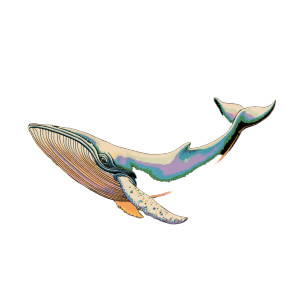 Space Whale Vinyl Car Decal Sticker – Waterproof & UV-Resistant 3.4133333333333336" Space Whale Vinyl Car Decal Sticker – Waterproof & UV-Resistant 3.4133333333333336"
