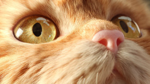 Orange Cat Face Vinyl Car Decal Sticker – Waterproof & UV-Resistant 5.4