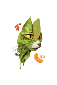 Herbal Cat Face Vinyl Car Decal Sticker – Waterproof & UV-Resistant 8.96"