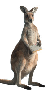 Airport Kangaroo Vinyl Car Decal Sticker – Waterproof & UV-Resistant 9.706666666666667"