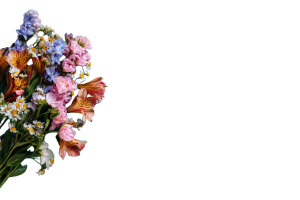 Bouquet On Table Vinyl Car Decal Sticker – Waterproof & UV-Resistant 5.97333333333333 Bouquet On Table Vinyl Car Decal Sticker – Waterproof & UV-Resistant 5.97333333333333