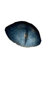 Cosmic Serpent Eye Vinyl Car Decal Sticker – Waterproof & UV-Resistant 9.706666666666667"