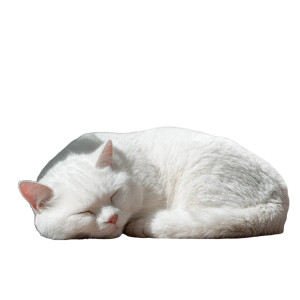 Sleeping White Cat V4 Vinyl Car Decal Sticker – Waterproof & UV-Resistant 3.4133333333333336"