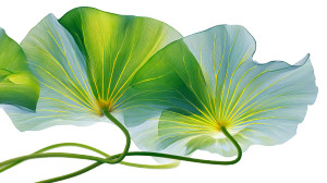 Green Lotus Leaves V7 Vinyl Car Decal Sticker – Waterproof & UV-Resistant 5.4