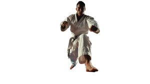 Karate Master Training Vinyl Car Decal Sticker – Waterproof & UV-Resistant 5.4