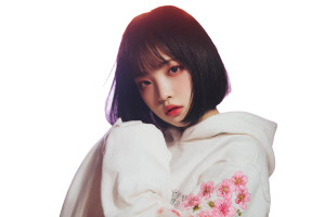 Melancholic Cherry Blossom Vinyl Car Decal Sticker – Waterproof & UV-Resistant 2.986666666666667"