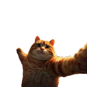 Selfie Cat Rave Vinyl Car Decal Sticker – Waterproof & UV-Resistant 6.826666666666667"