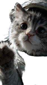 Kitten Astronaut V2 Vinyl Car Decal Sticker – Waterproof & UV-Resistant 9.706666666666667" Kitten Astronaut V2 Vinyl Car Decal Sticker – Waterproof & UV-Resistant 9.706666666666667"