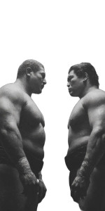 Colossal Wrestlers Face-Off Vinyl Car Decal Sticker – Waterproof & UV-Resistant 5.12"