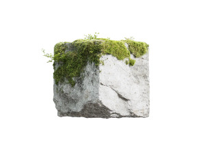 Mossy Concrete Float Vinyl Car Decal Sticker – Waterproof & UV-Resistant 6.1866666666666665"