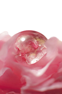 Dew Drop Bouquet Vinyl Car Decal Sticker – Waterproof & UV-Resistant 8.96"