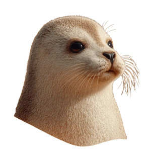Cute Seal Vinyl Car Decal Sticker – Waterproof & UV-Resistant 3.4133333333333336" Cute Seal Vinyl Car Decal Sticker – Waterproof & UV-Resistant 3.4133333333333336"