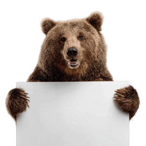 Smiling Bear V2 Vinyl Car Decal Sticker – Waterproof & UV-Resistant 6.826666666666667" Smiling Bear V2 Vinyl Car Decal Sticker – Waterproof & UV-Resistant 6.826666666666667"
