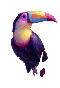 Colorful Jungle Toucan Vinyl Car Decal Sticker – Waterproof & UV-Resistant 4.373333333333333"