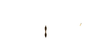 Golden Lake Swim Vinyl Car Decal Sticker – Waterproof & UV-Resistant 2.72"