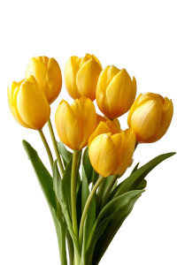 Yellow Tulips Bouquet Vinyl Car Decal Sticker – Waterproof & UV-Resistant 4.4