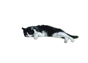 Sleeping Cat Painting V2 Vinyl Car Decal Sticker – Waterproof & UV-Resistant 3.0933333333333333"
