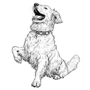 Happy Golden Retriever V29 Vinyl Car Decal Sticker – Waterproof & UV-Resistant 6.826666666666667"