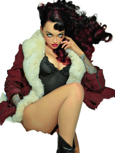 Venus In Furs V2 Vinyl Car Decal Sticker – Waterproof & UV-Resistant 4.1066666666666665"