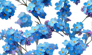 Forgetmenot Flower Vinyl Car Decal Sticker – Waterproof & UV-Resistant 2.8266666666666667"
