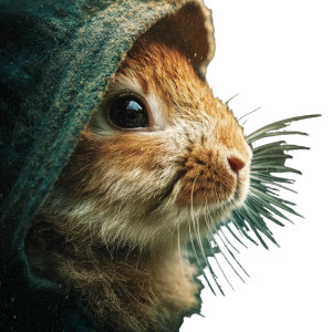 Hooded Rabbit Vinyl Car Decal Sticker – Waterproof & UV-Resistant 3.4133333333333336" Hooded Rabbit Vinyl Car Decal Sticker – Waterproof & UV-Resistant 3.4133333333333336"