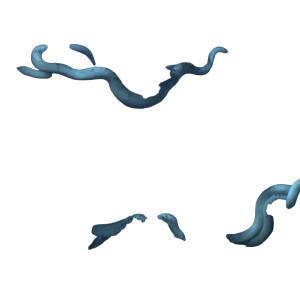 White Snakes Branch Vinyl Car Decal Sticker – Waterproof & UV-Resistant 3.4133333333333336" White Snakes Branch Vinyl Car Decal Sticker – Waterproof & UV-Resistant 3.4133333333333336"