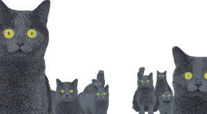 Gray Cats Collage Vinyl Car Decal Sticker – Waterproof & UV-Resistant 5.4