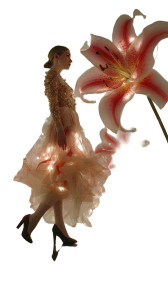 Celestial Dancer V2 Vinyl Car Decal Sticker – Waterproof & UV-Resistant 4.8533333333333335"