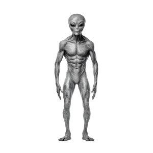 Grey Alien Portrait V6 Vinyl Car Decal Sticker – Waterproof & UV-Resistant 6.826666666666667"