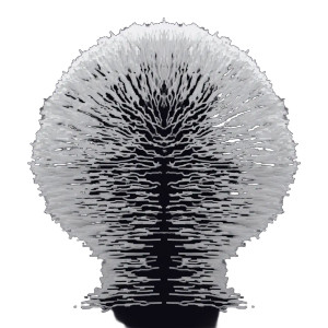 Slime Mold Vinyl Car Decal Sticker – Waterproof & UV-Resistant 6.826666666666667"